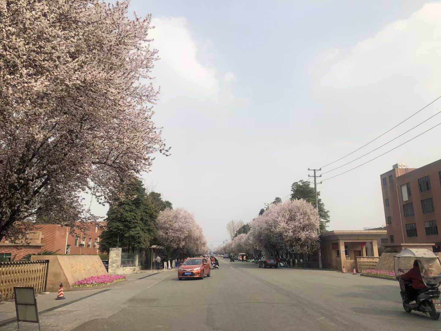 2021最近三天的热点新闻重大事件 近三天发生的重要新闻总结 fangzhiyuan